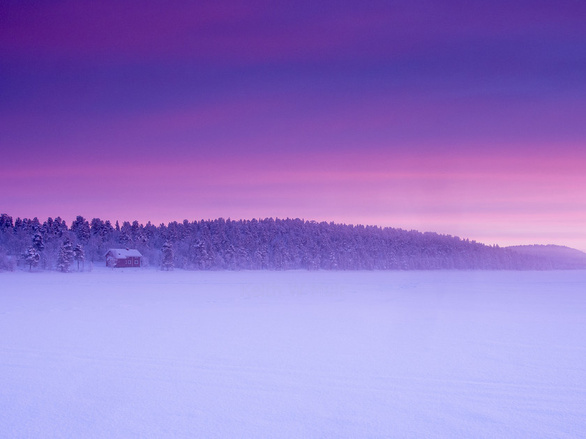 P2110472 
 Keywords: Europe, Finland, Lapland, Menesjarvi, Sub-Arctic, dusk, lake, landscapes, snow, sunset, travel, winter